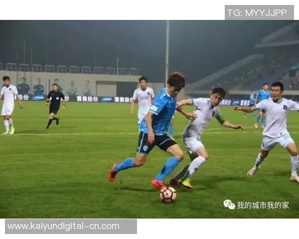 丽江飞虎迎战保定队期待精彩对决与球迷激情共鸣